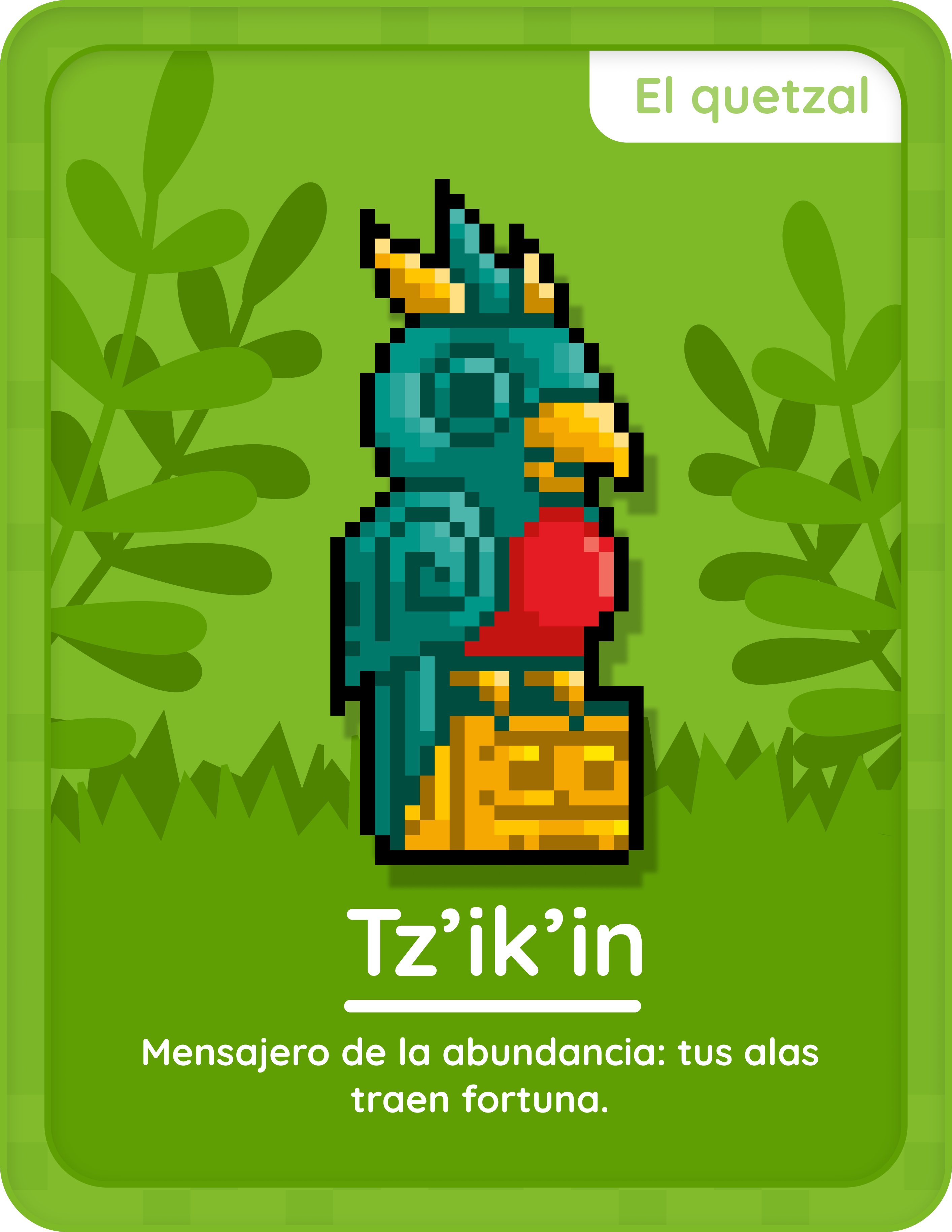 Tarjeta 14