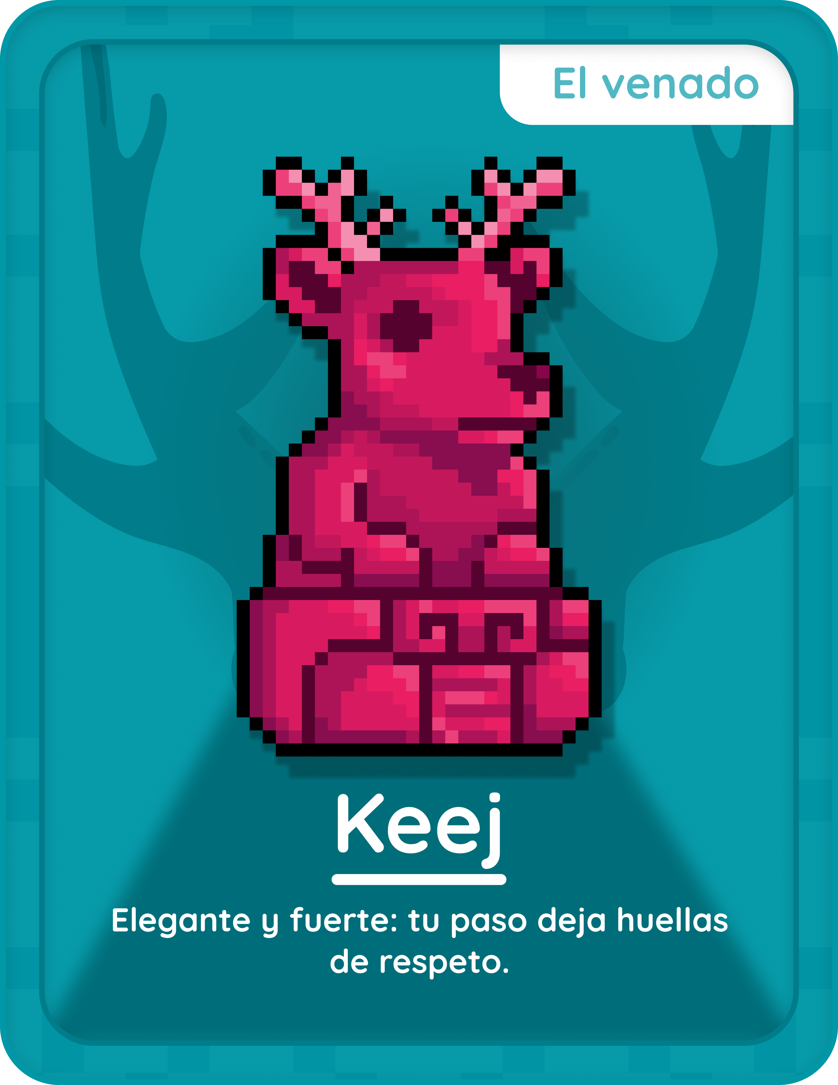 Tarjeta 19